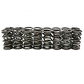 BTR Dual Spring – .685 Lift – 16 Pc Kit