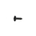 GM Trim Screw