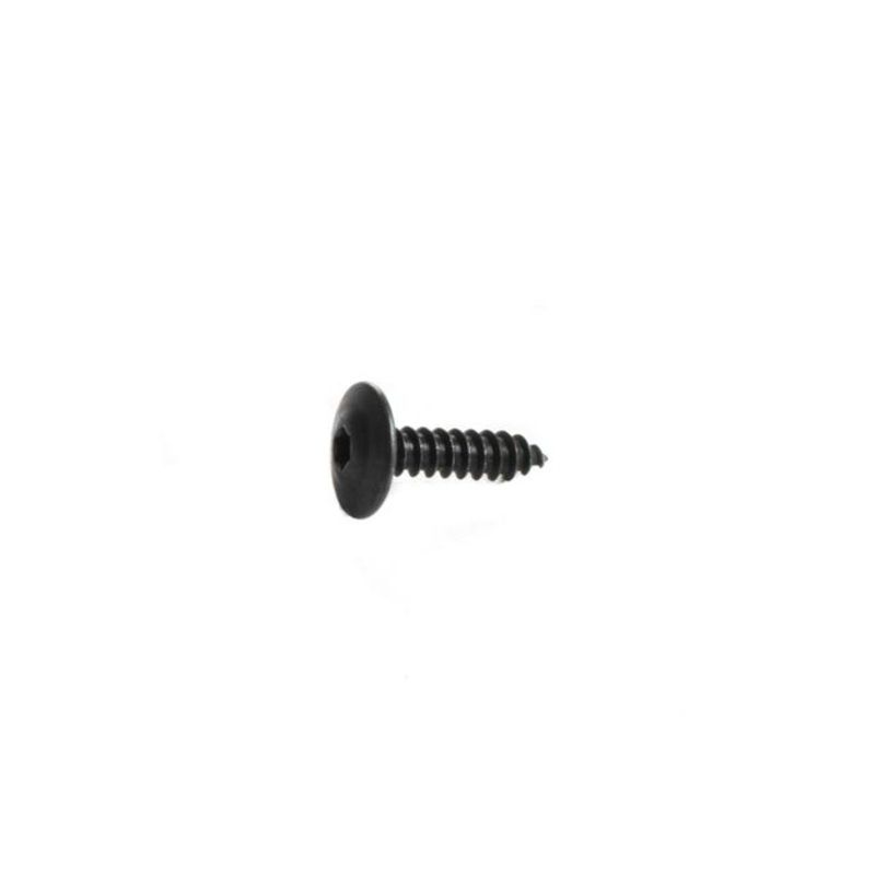 GM Trim Screw